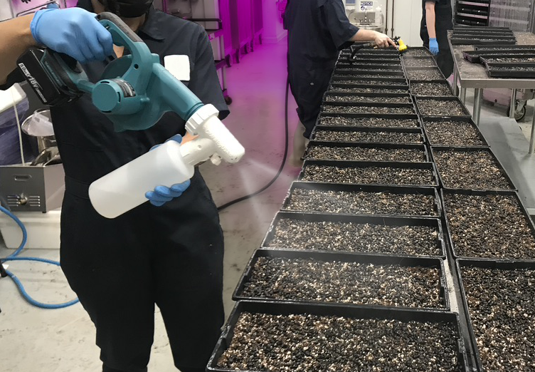 Applicaton - Omnifog ULV Adjustable Fogger Nozzle